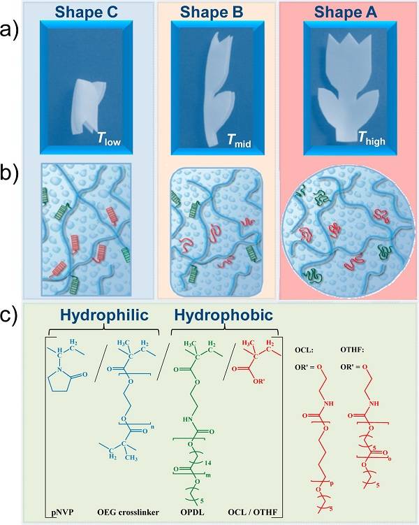 Monils - 默尼離子液體