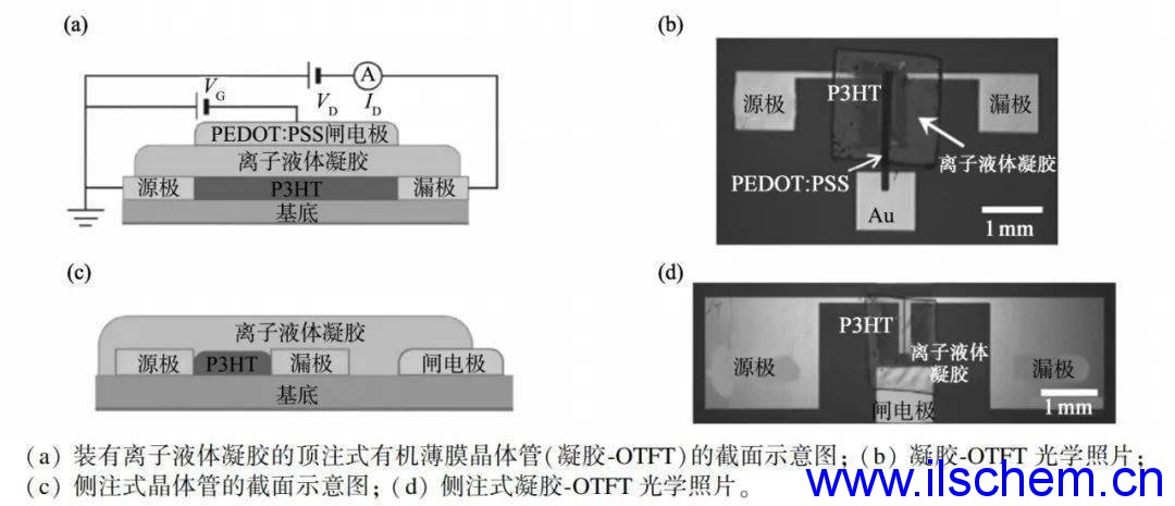 Monils - 默尼離子液體